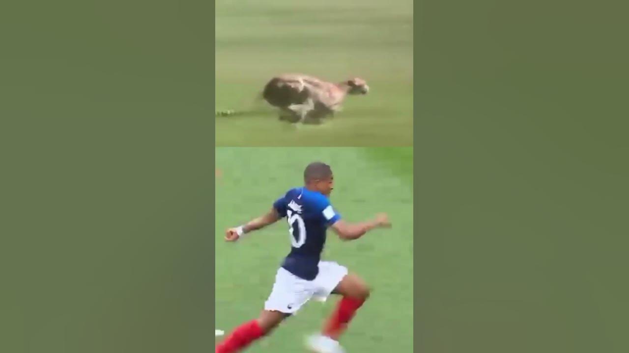 Mbappe Running speed !! Cheetah vs mabappe #viralshorts #mbappe