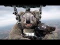 Olly's Skydiving