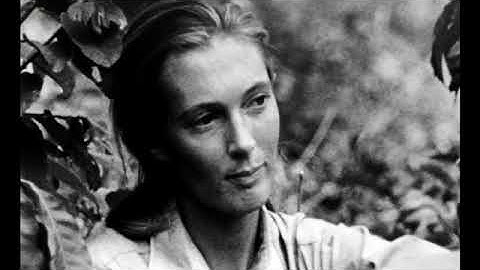 hw4e adv video u01 part 01