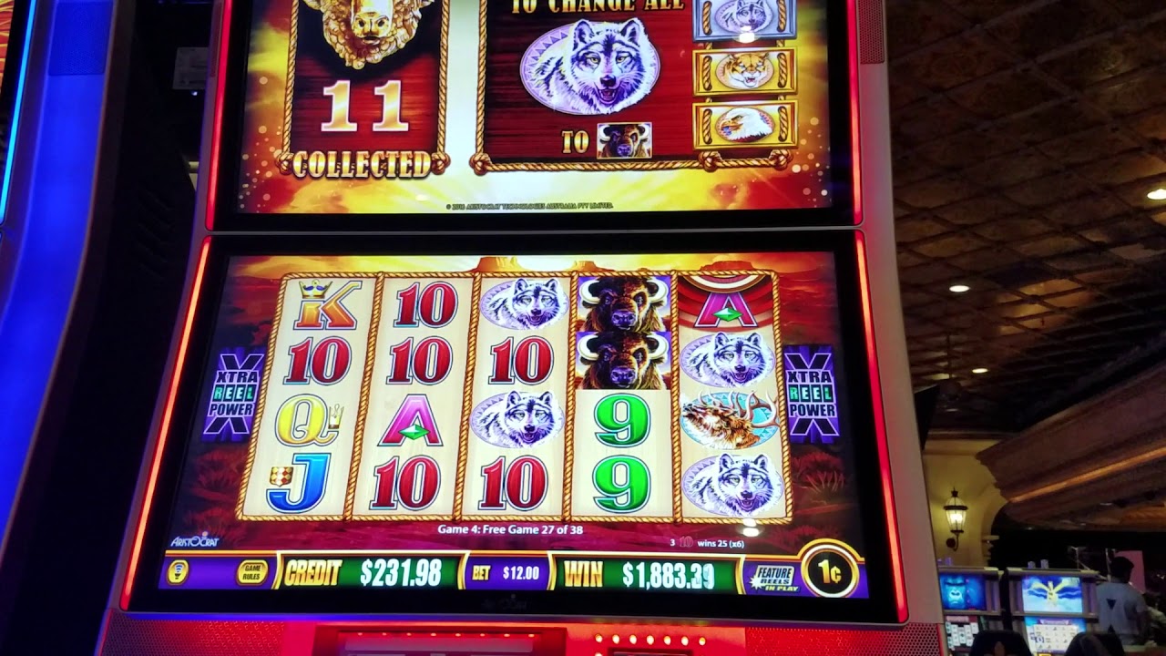 camera iphone 8 plus apk Jackpot on Buffalo Gold!!! Finally! Happy New Year!
