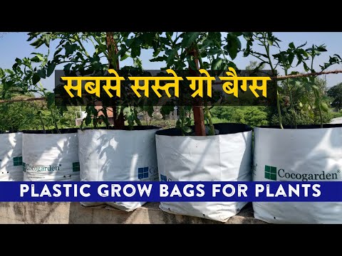 सस्ते प्लास्टिक ग्रो बैग | Plastic / Poly Grow Bags for