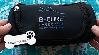 Laser Treatment for Home Use by B Cure Laser Vet