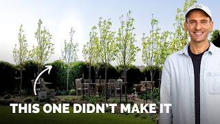 Replacing a Tree That Didn’t Make It | Gardening with Wyse Guide