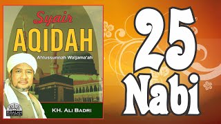 SYAIR 25 NABI