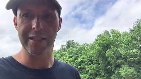 Easy No Till Food Plot Part 2. Deer Food plots.