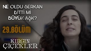Kırgın Çiçekler 29.Bölüm - Güney, Songülden Özür Diliyor