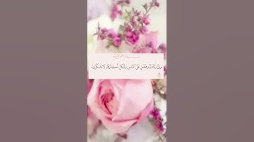 سورة النمل اية(٧٣)