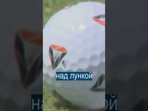 Гольфист Уже Сдался, Но тут На Мяч СЕЛА МУХА