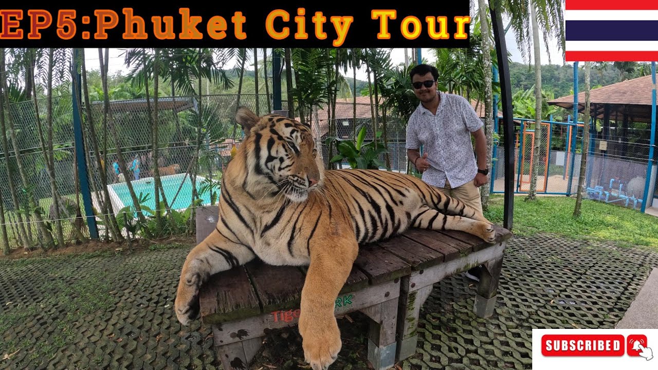 Thailand Solo Trip EP5 Phuket City Tour Big Buddha Tiger Park Wat thailand-solo-trip-ep5-phuket-city-tour-big-buddha-tiger-park-wat