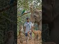 ser ka barde #alter kahani #ai #viralvideo #funny #viralshort #alter ALTER KAHANI