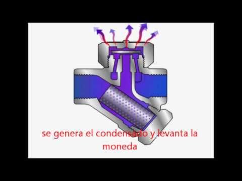 Video: Trampa de vapor. Principio de funcionamiento de una trampa de vapor