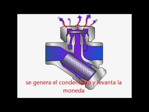 Vídeo: Trampa de vapor. Principi de funcionament d'un purgador de vapor