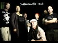 Salmonella Dub 2003