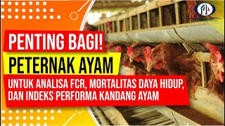 Analisa FCR, Mortalitas, Daya Hidup, dan Indeks Performa Kandang Ayam
