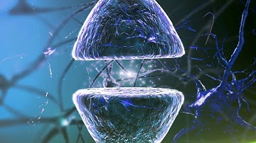 The Dawn of Brain-to-Brain Communication