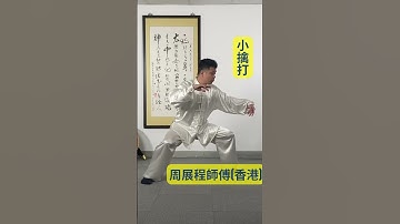 陳式太極小擒打