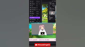 Make VSeeFace background transparent in Twitch Studio - weird solution