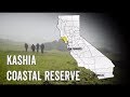 California Coastal Trail - Kashia Coastal Reserve