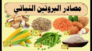 مصادر البروتين النباتي