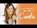 Beneficios de la canela para la salud