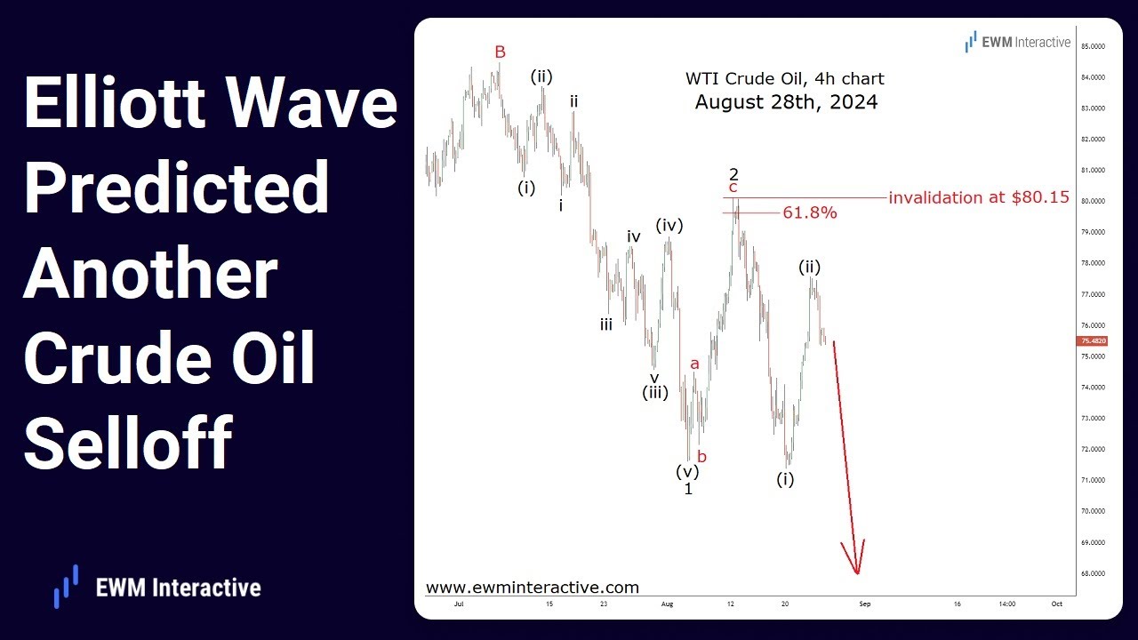 Elliott Wave Predicted Yet Another Crude Oil Selloff - YouTube