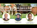 Futurebeef webinar getting your cow back in calf