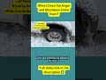 Where Does Anger and Shutdown Come From