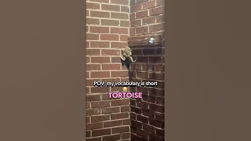 She Confused Frog for A Tortoise and Todd #shorts