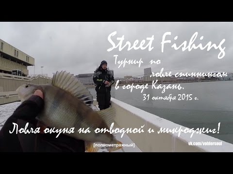 STREET FISHING IN KAZAN (Турнир по городской рыбалке в Казани) Октябрь 2015 г.