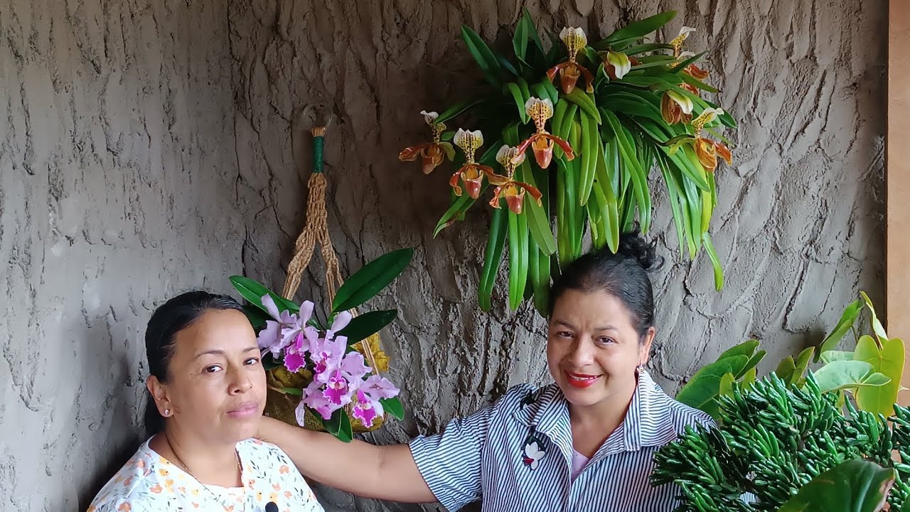 Un Recorrido por el Jardín de mi Hermana 🤗//🌹🪴🌿//❤️