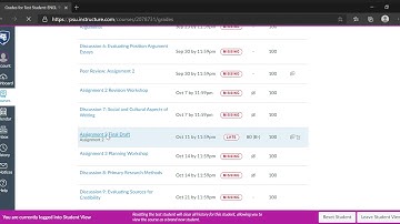 How to Access Annotated Feedback on Canvas