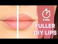 How To Get FULLER Lips WITHOUT Lip Fillers | DIY Makeup Hacks