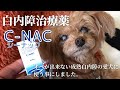 犬猫の白内障治療薬【C-NAC(ｼｰﾅｯｸ)】を成熟白内障の愛犬に使う事にしました。【概要欄】