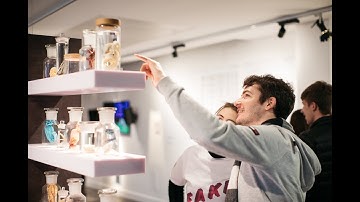 FAKE: THE REAL DEAL? at Science Gallery Dublin in 60 seconds