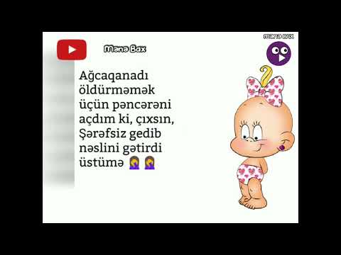 prikol gulmeli statuslari whatsapp statuslar maraqli statuslar status  VIDEOARA WS