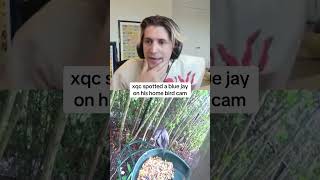 🤩🤩 #funny #clips #xqc #shorts #viral