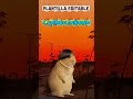 وشدينا شده قوي سينا بلاد الحريه  تصميمي