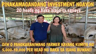 Pagbisita Cattle Farm sa sariaya na may alaga ng 20 heads na baka..