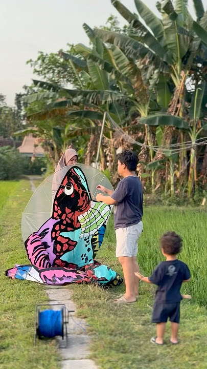 ZAIN TERBANGKAN LAYANGAN IKAN CHANNA WARNA-WARNI!!! TERBESAR #layangan #channa #shorts #bermain