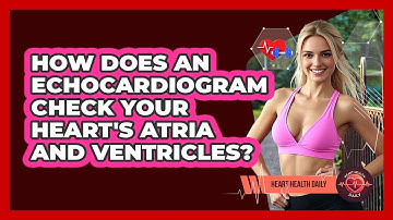 How Does An Echocardiogram Check Your Heart