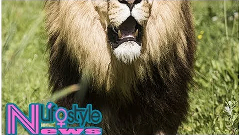 Body of suspected poacher eaten by lions has now been identified