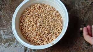 🆅🅸🅳🅴🅾 🆄🅿🆁🅰🅺 🅶🅰🅻🆄🅷 🆂🆄🅻🅸🆂🆃🆈🅰 🅺🅴🅻🅰🆂 9🅱