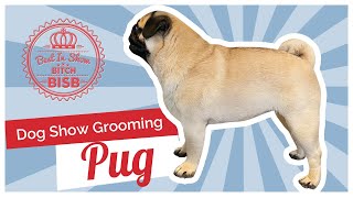 Dog Show Grooming: How To Groom a Pug by BIS B 31,790 views 3 years ago 15 minutes