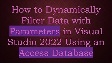 How to Dynamically Filter Data with Parameters in Visual Studio 2022 Using an Access Database