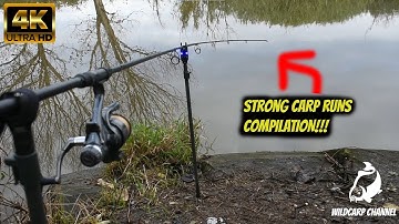 Carp Run COMPILATION 2020! PART 67!