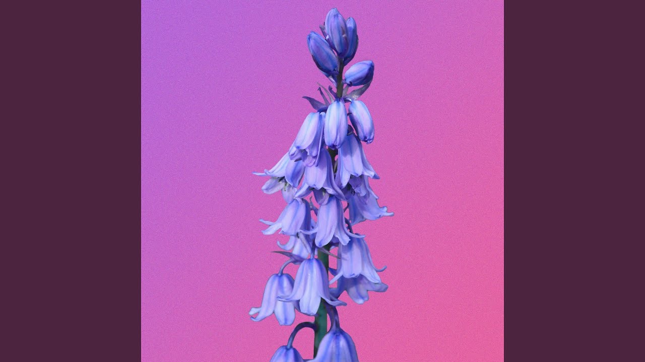 Watch Nice 2 Seen U on YouTube Watch Nice 2 Seen U on YouTube