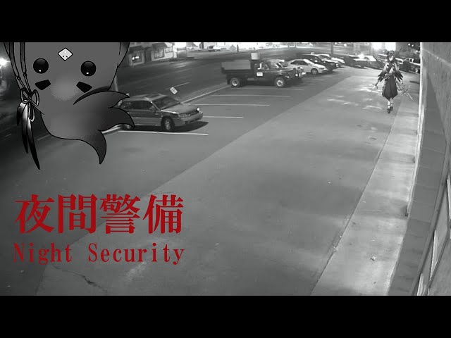 【Night Security | 夜間警備】My Ring camera is capturing a weird ah birdのサムネイル