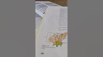 Science pre-board exam preparation😭💀*CBSE 10th Grader*not prepare?#shorts#youtubeshorts#shortvideo