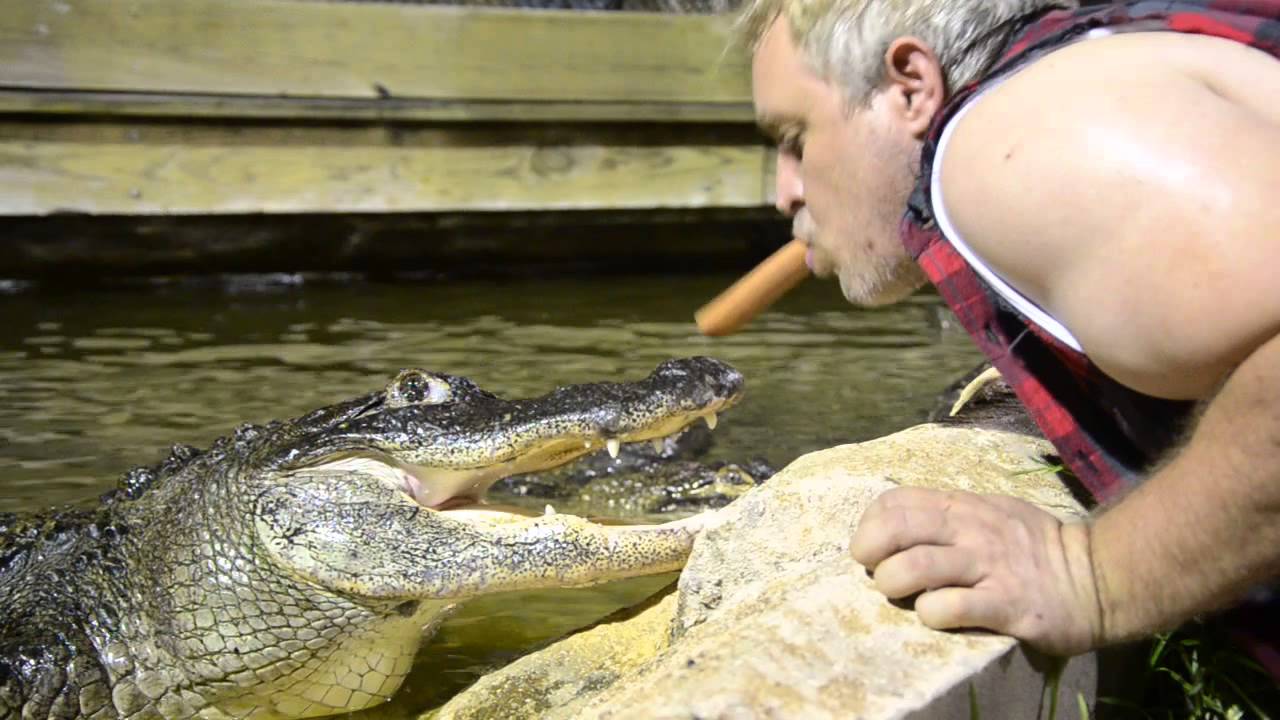 Hot dog out of the mouth. YouTube