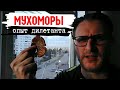 #МУХОМОРЫ / На грани Жизни и Смерти